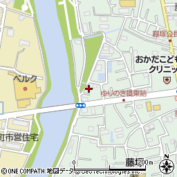 埼玉県春日部市藤塚1389周辺の地図