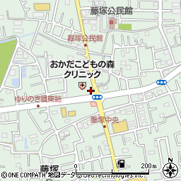 埼玉県春日部市藤塚2885周辺の地図
