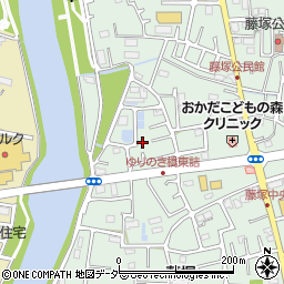 埼玉県春日部市藤塚2862周辺の地図