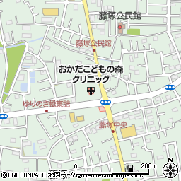 埼玉県春日部市藤塚1225周辺の地図