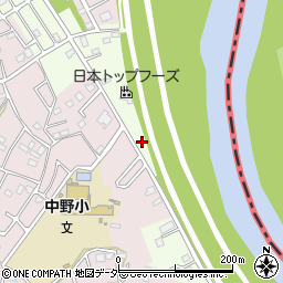 埼玉県春日部市新宿新田159周辺の地図