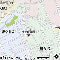 茨城県鹿嶋市港ケ丘273-90周辺の地図