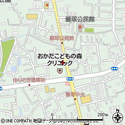 埼玉県春日部市藤塚1226周辺の地図