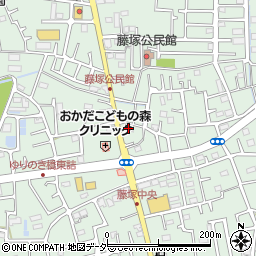 埼玉県春日部市藤塚1695周辺の地図