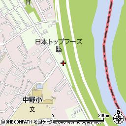 埼玉県春日部市新宿新田205周辺の地図