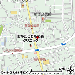 埼玉県春日部市藤塚1693周辺の地図