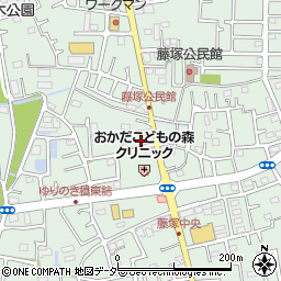 埼玉県春日部市藤塚1245周辺の地図