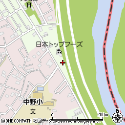 埼玉県春日部市新宿新田203周辺の地図