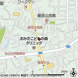 埼玉県春日部市藤塚1694周辺の地図
