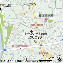 埼玉県春日部市藤塚1248周辺の地図