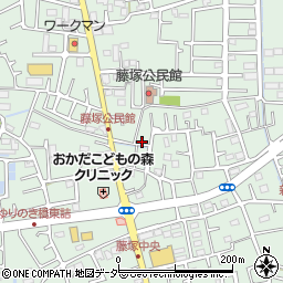 埼玉県春日部市藤塚1715周辺の地図