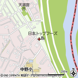 埼玉県春日部市新宿新田206周辺の地図