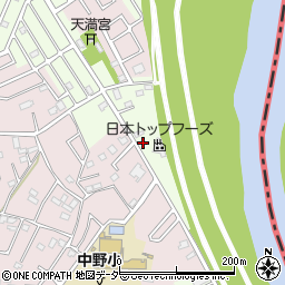 埼玉県春日部市新宿新田207周辺の地図