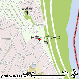 埼玉県春日部市新宿新田208周辺の地図