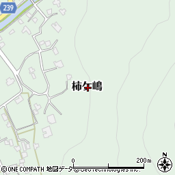 福井県大野市柿ケ嶋周辺の地図