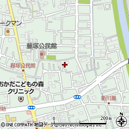 埼玉県春日部市藤塚1749周辺の地図