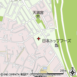 埼玉県春日部市新宿新田359周辺の地図