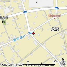 埼玉県春日部市永沼1077周辺の地図