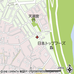 埼玉県春日部市新宿新田360周辺の地図