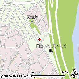 埼玉県春日部市新宿新田216周辺の地図