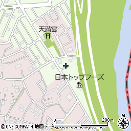 埼玉県春日部市新宿新田215周辺の地図
