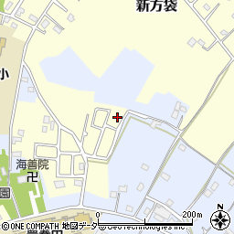 埼玉県春日部市新方袋19周辺の地図