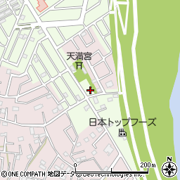 埼玉県春日部市新宿新田218周辺の地図