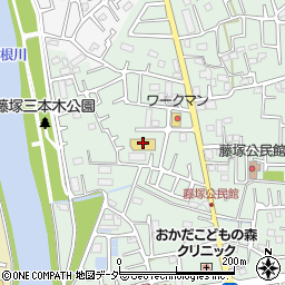 埼玉県春日部市藤塚1331周辺の地図