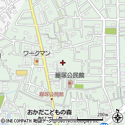 埼玉県春日部市藤塚1631周辺の地図