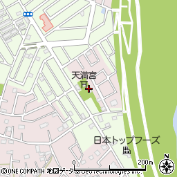 埼玉県春日部市東中野1565周辺の地図
