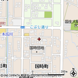 福井県大野市国時町317周辺の地図