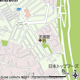 埼玉県春日部市新宿新田219周辺の地図