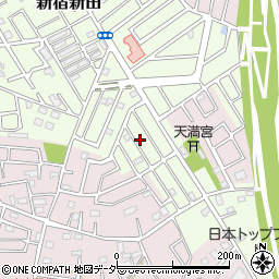 埼玉県春日部市新宿新田355周辺の地図
