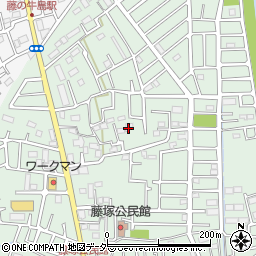 埼玉県春日部市藤塚1595周辺の地図