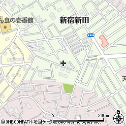 埼玉県春日部市新宿新田345周辺の地図