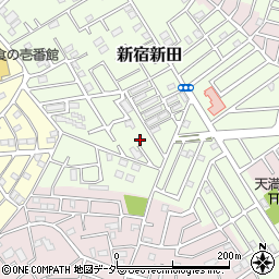 埼玉県春日部市新宿新田353周辺の地図