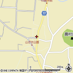 長野県諏訪郡原村17690周辺の地図