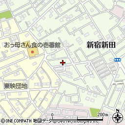 埼玉県春日部市新宿新田340周辺の地図