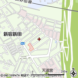 埼玉県春日部市新宿新田225周辺の地図