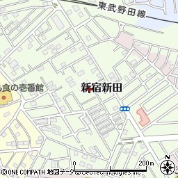 埼玉県春日部市新宿新田349周辺の地図