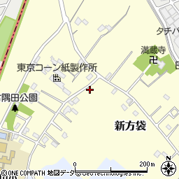 埼玉県春日部市新方袋174周辺の地図