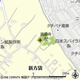 埼玉県春日部市新方袋253周辺の地図