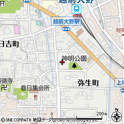 福井県大野市弥生町6-2周辺の地図