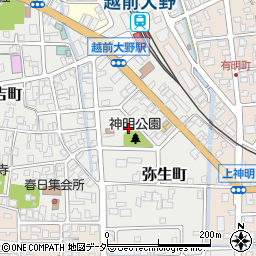 福井県大野市弥生町6周辺の地図