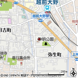 福井県大野市弥生町周辺の地図
