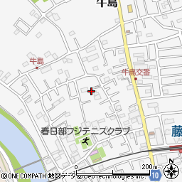 埼玉県春日部市牛島193周辺の地図