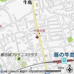 埼玉県春日部市牛島174周辺の地図