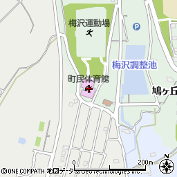 鳩山町民体育館周辺の地図