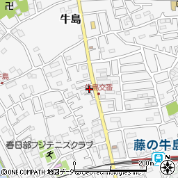 埼玉県春日部市牛島203周辺の地図