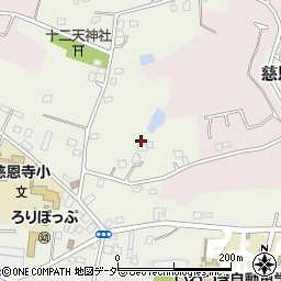 埼玉県さいたま市岩槻区慈恩寺周辺の地図